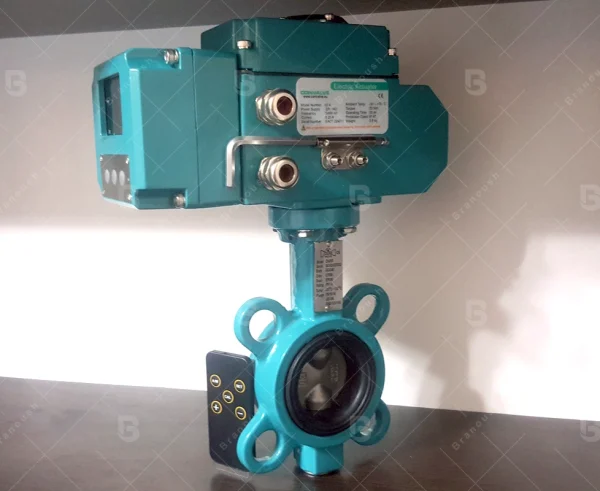 اکچویتور برقی تدریجی 50 نیوتن Convalve